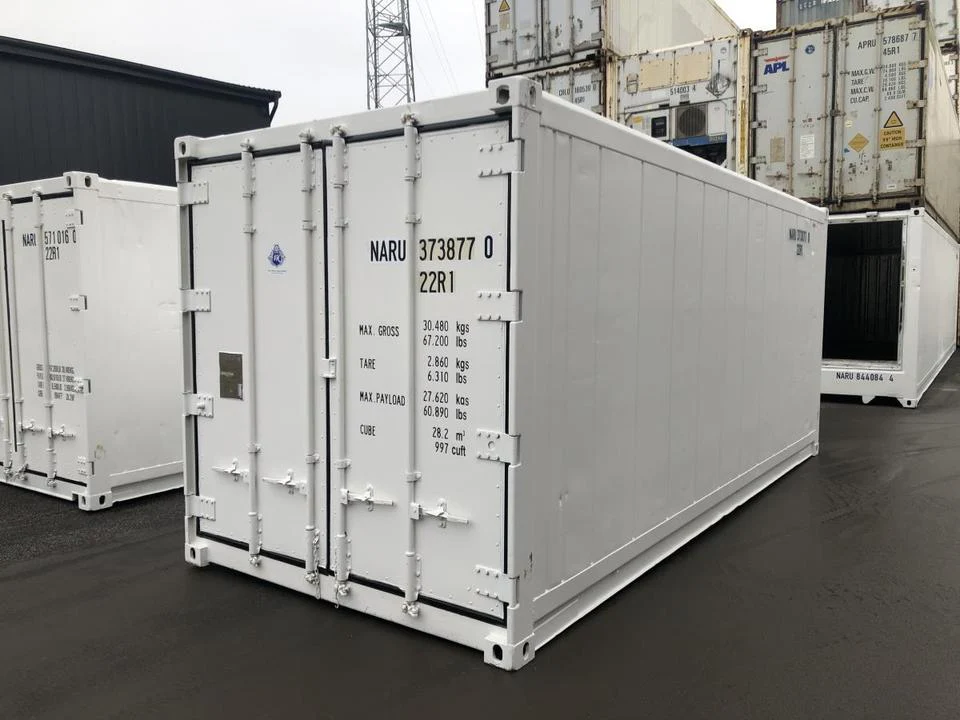 SS CONTAINER REFRIGERATO THERMO KING DA 20 PIEDI (NUOVO) - immagine 1